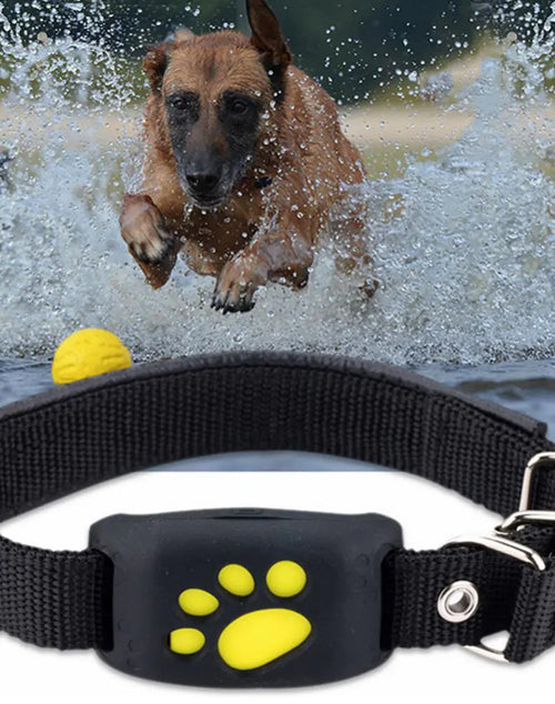 Ladda bild i Gallery Viewer, Pet GPS Tracker Collar
